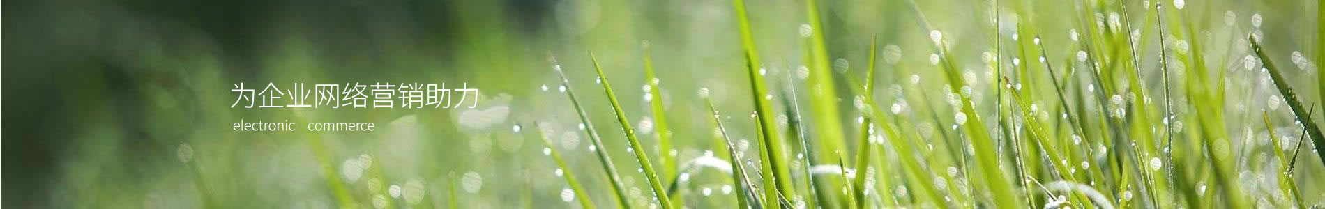 ӱܷƼ޹˾